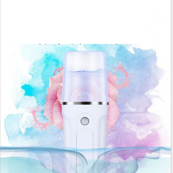 2019069 Rechargeable Salon Mini Facial Steamers Professional Bea - Click Image to Close