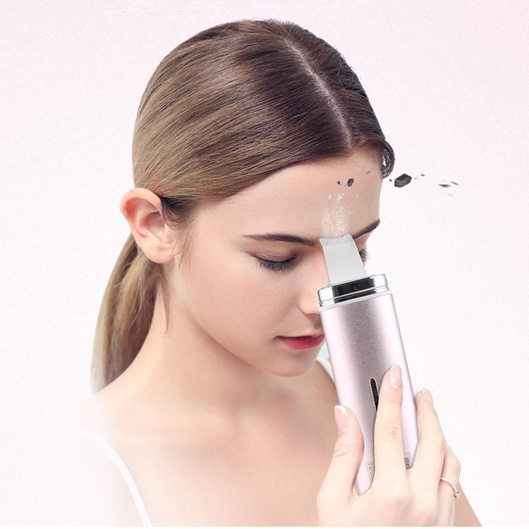 2019086 2019 Portable Cheap Ion Face Cleaner Ultrasonic Skin Scr